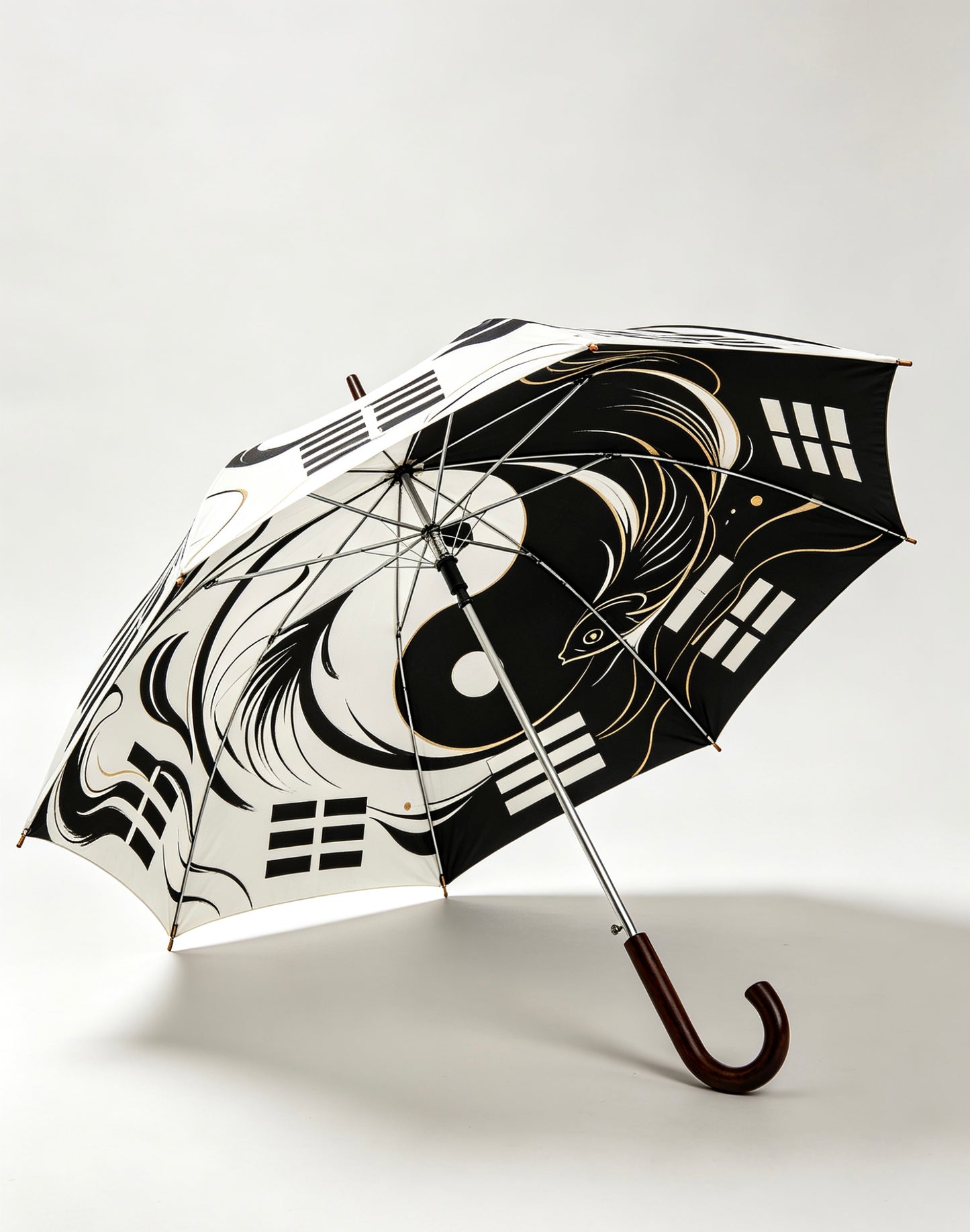 Tai Chi Umbrella
