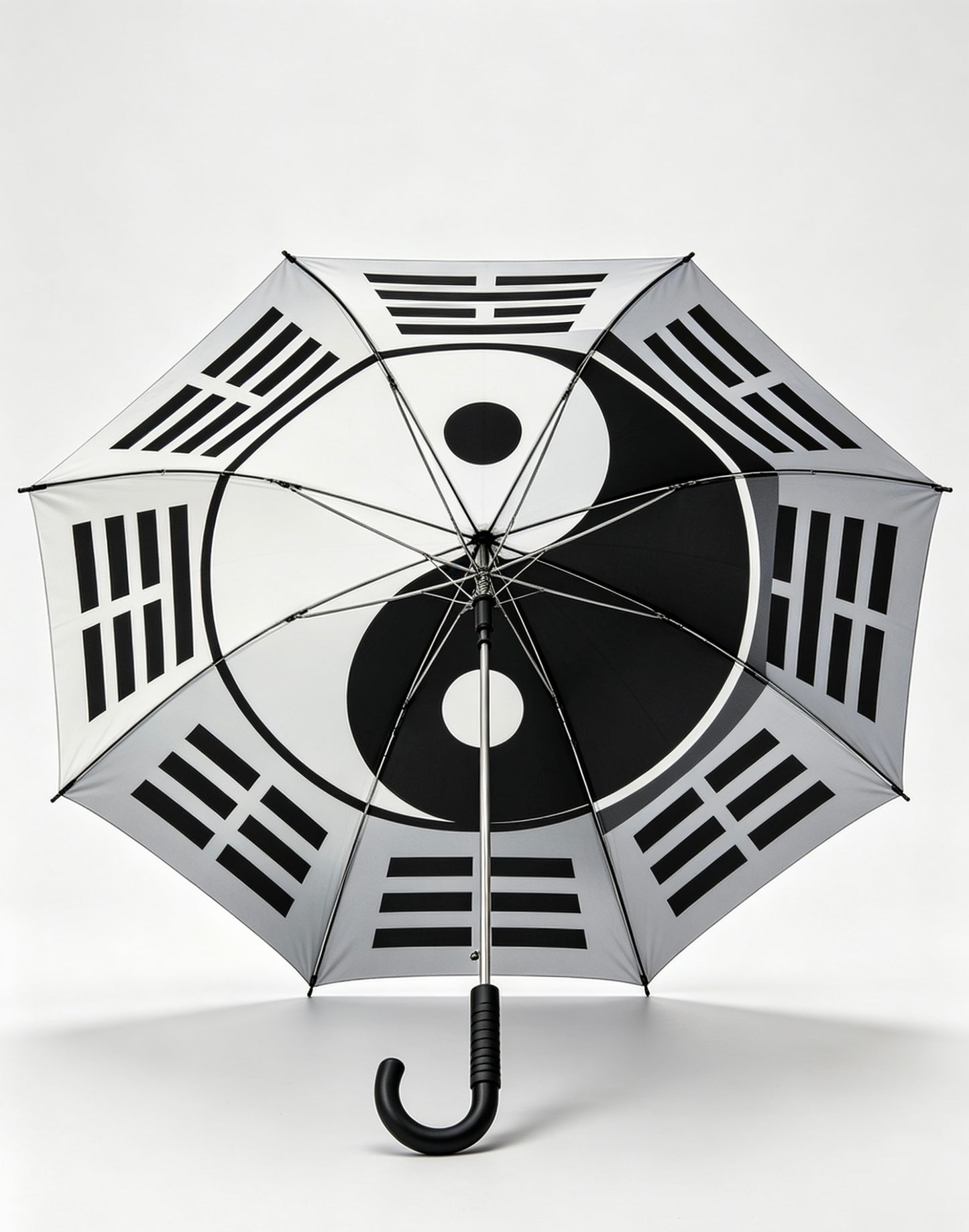 Tai Chi Umbrella