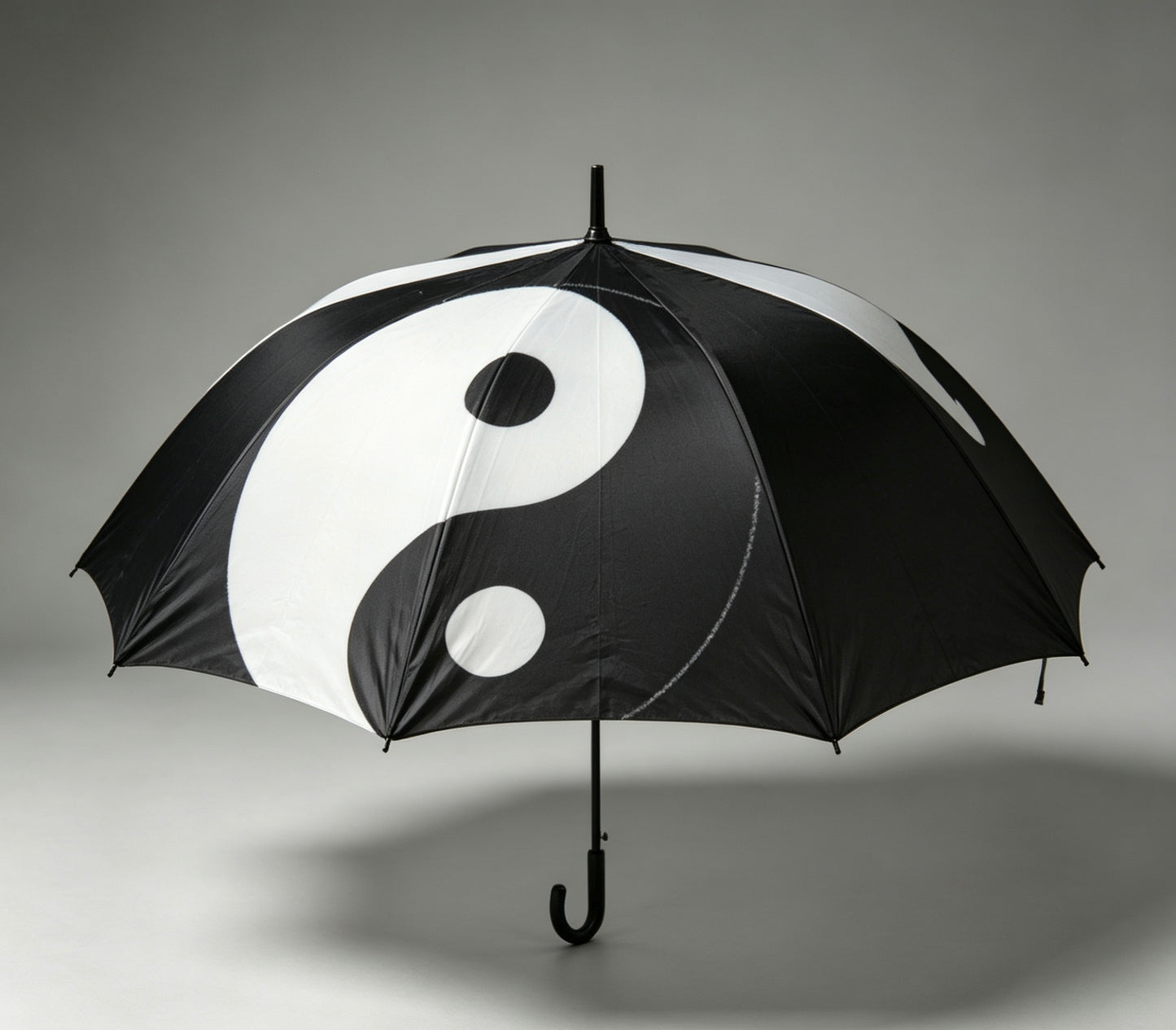 Tai Chi Umbrella