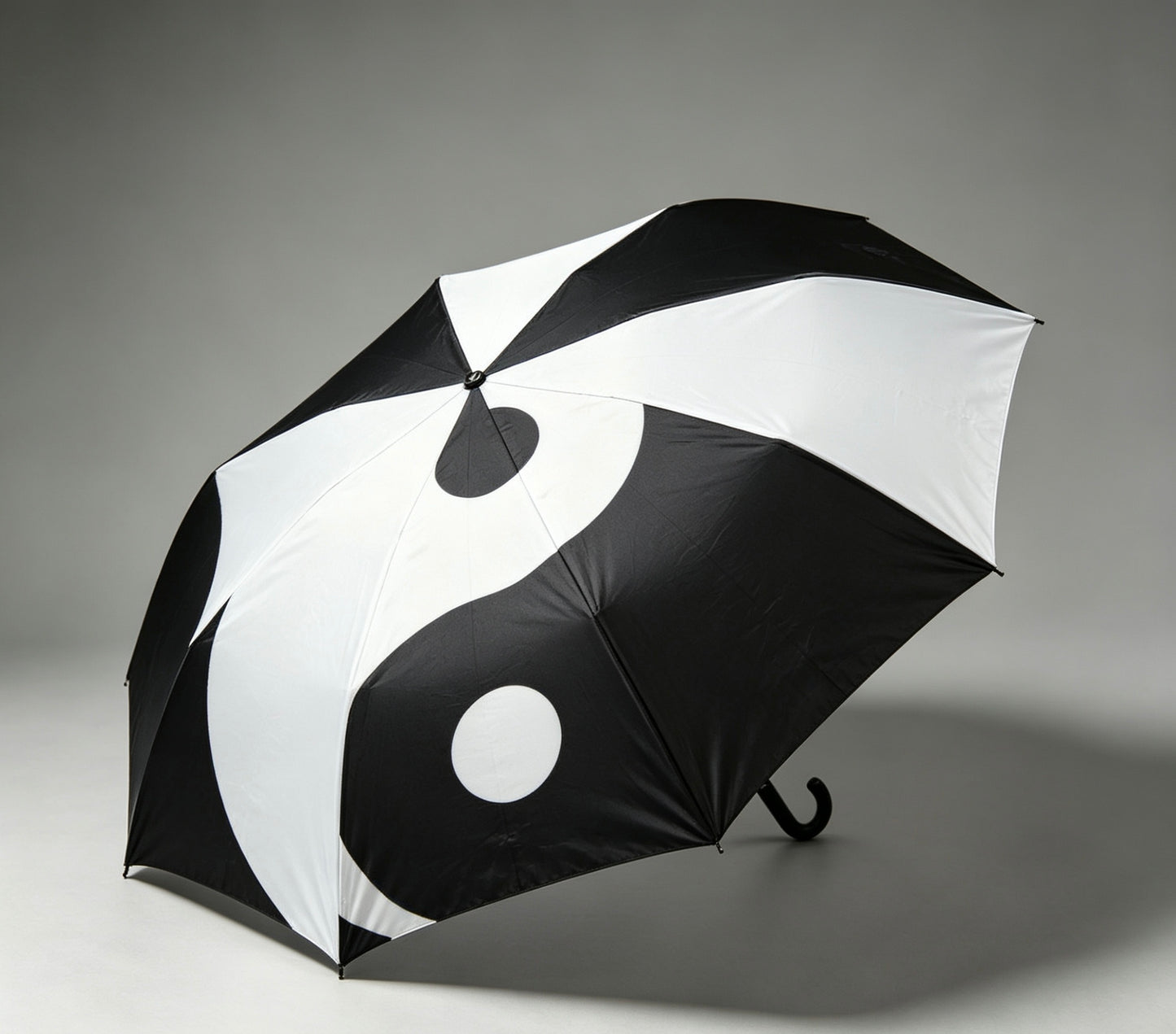Tai Chi Umbrella