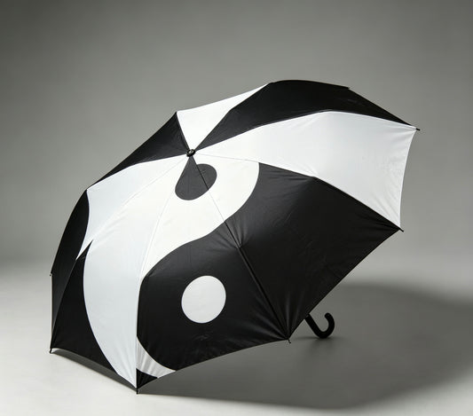 Tai Chi Umbrella